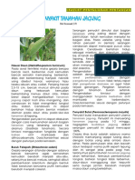 LEAFLET Penyakit Jagung