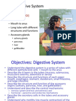 The Digestive System: Enteric (Gi)