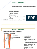 Fisiologia del musculo liso