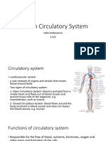 Human Circulatory System: Erika Grolmusová 2.A/2