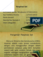 PPT Respirasi sel.pptx