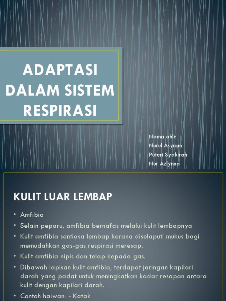 Adaptasi Dalam Sistem Respirasi