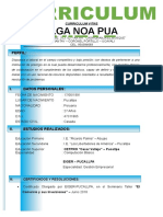 Curriculum Vitae Olga Noa Pua