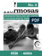 Impactos Microcentral Tolima PDF