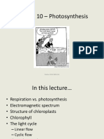 Lecture 10.pdf