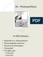 Lecture 10 PDF