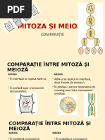 diviziunea_celulara_mitoza_vs_meioza.pptx