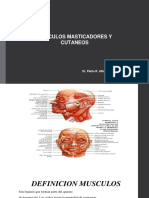 musculosmasticadores-180226041234-convertido.docx