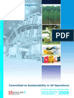 Annual Report Pindo 2009 PDF