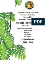 Informe de botanica.docx