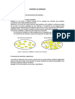 Muestreo de minerales: guía completa sobre la importancia y métodos