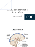 Lichidul Cefalorahidian Si Hidrocefalia