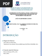 SLIDS - TCC ESTRESSE