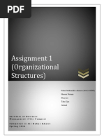 Assignment 1 (Organizational Structures)