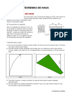 Teorema Haga PDF