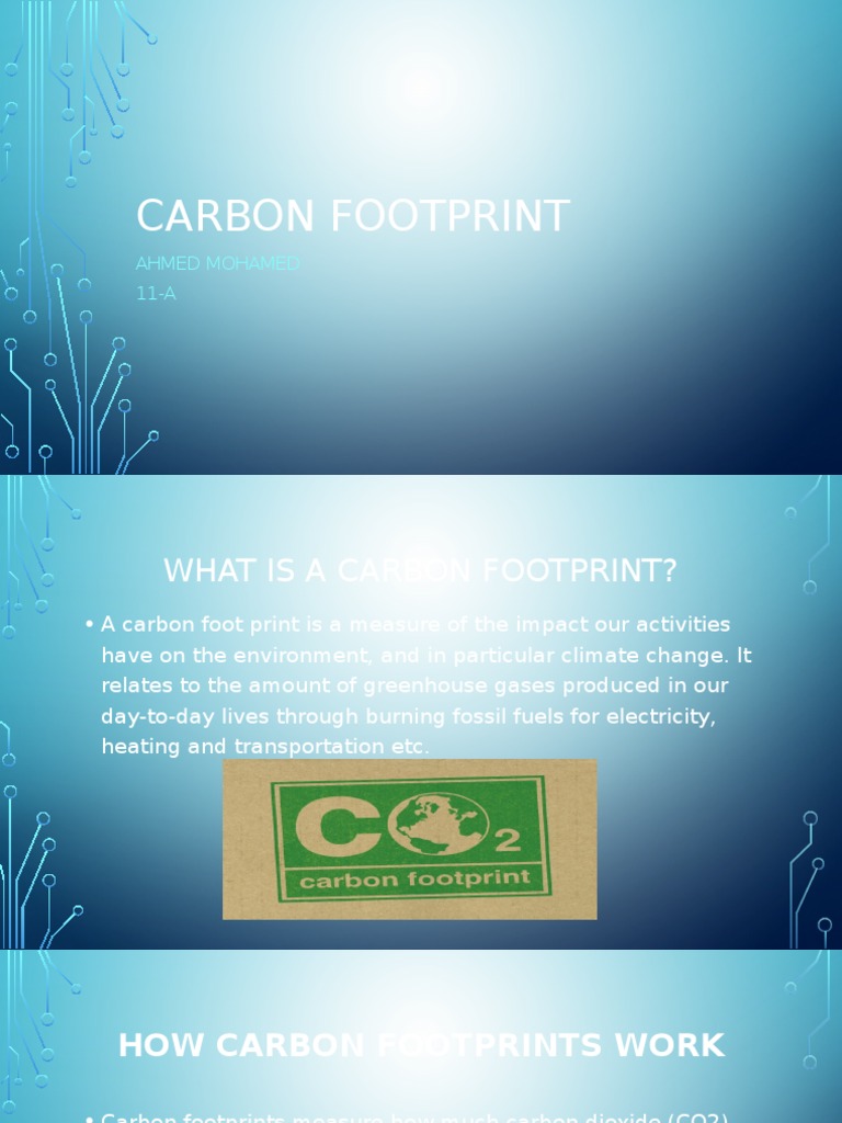 Understanding Carbon Footprints | PDF | Carbon Footprint | Greenhouse Gas