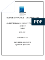 Informe prelim.pdf