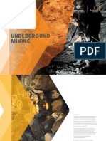 Underground Mining Industry Capability Report