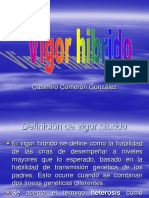 Vigor hibrido.ppt