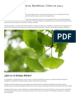 GINKO BILOBA.pdf