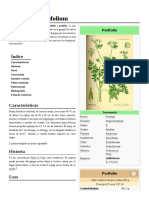 Anthriscus_cerefolium.pdf