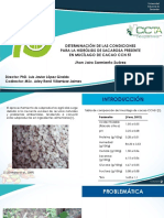 Exposición.pdf