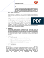 INFORME DE PUENTE DE PALITOS DE HELADOS.pdf
