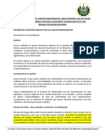 Mod Informe Auditor