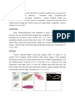 Dipylidium Caninum PDF