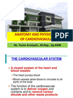 Anatomy and Physiology of Cardiovaskular