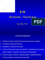 Hormones - Thyroid Axis: Sujin Bao, PH.D