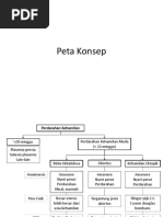 Peta Konsep