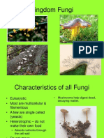 Kingdom Fungi.ppt