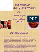 -Diapositivas-Etapas-Del-Desarrollo-Prenatal (1) (1).pptx