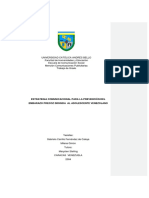 Estrategia Del Embarazo PDF