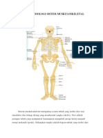 Anatomi Fisiologi Sistem Muskuloskeletal