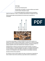 Proceso Constructivo de La Vig1