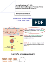 Factores Físico Químicos en La Producción Del Biogás