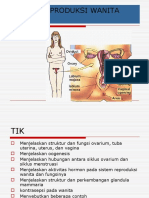 Sistem Reproduksi Wanita Jazz