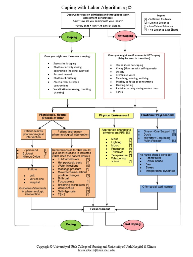 Algoritma MFTI | PDF | Childbirth | Psychological Concepts