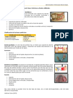 Tema 8 DPR Bases Proteticas