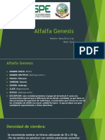 Alfalfa Genesis