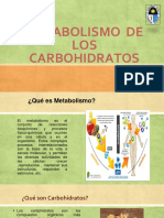 Metabolismo de Los Carbohidratos Expo