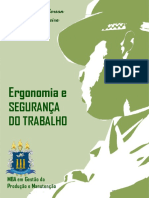 Livro_pdf_-_Ergonomia_e_seguranca_do_tra.pdf