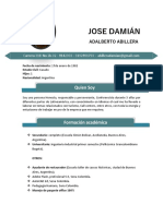 Curriculum Vitae Damian