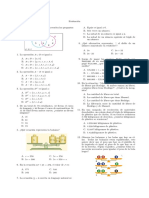 Evaluación 