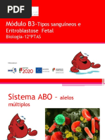 GRUPOS SANGUÍNEOS-Aula de Genética Tipos Sangue -Eritroblastosefetal