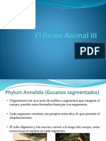 El Reino Animal III