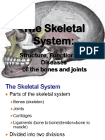 The Skeletal System: Structure, Functions, and Diseases of Bones and Joints