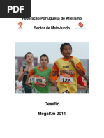 Desafio megakm2011Final